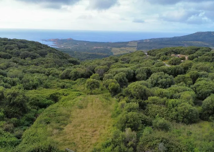 Daire Isola Rossa La Paduledda Vista Mare Il Mirto